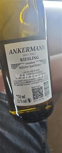 Palatinado Palatinado. Ankermann 2024