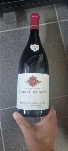 Bourgogne Gevrey-chambertin Remoissenet Père & Fils 2022
