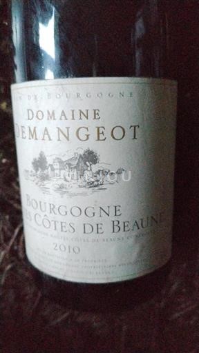 Burgundsko Nespecifikováno Domaine Demangeot 2010
