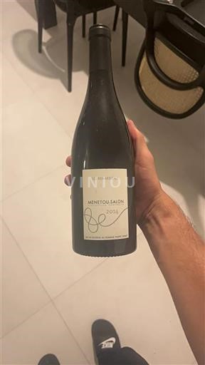 Valle della Loira Menetou-Salon Domaine Philippe Gilbert Les Renardières 2014