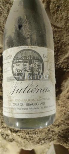 Beaujolais Juliénas Cru Domaine Coleau 1996