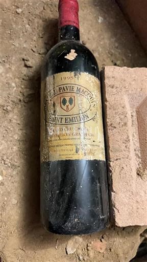Bordeaux Saint-Émilion Grand Cru Grand Cru Pavie Macquin 1995