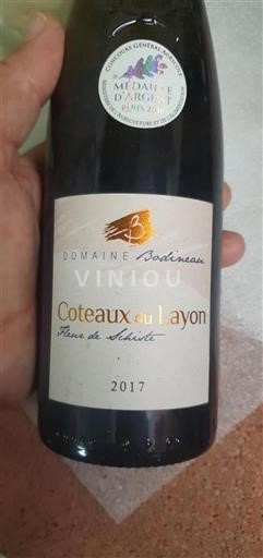 Vale do Loire Coteaux-du-layon Domaine Bodineau Fleur de Schiste 2017