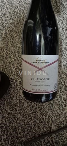 Burgundi Bourgogne Domaine Croix Arbussin Ei vuosikertaa