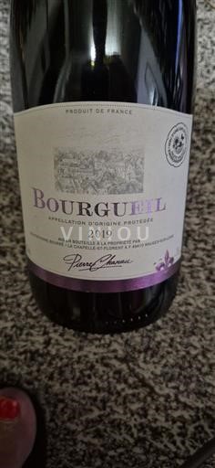 Valle della Loira Bourgueil Pierre Chainier 2019