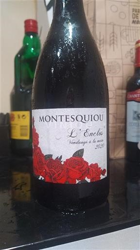 Sydvestfrankrig Ikke specificeret Montesquiou L'Enclos 2020