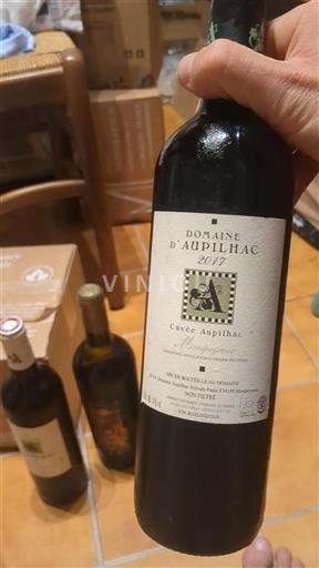 Languedoc Domaine Aupilhac Aupilhac 2017