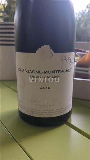 Borgogna Chassagne-Montrachet Domaine Lamy-Pillot Champs de Morgeot 2016