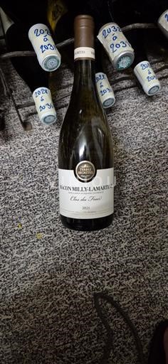 Bourgogne Mâcon och Mâcon-Villages Terres Secrètes Clos du Four 2021