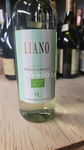 Vin Blanc sec Liano Umberto Cesari 2023 Italie Emilie-Romagne
