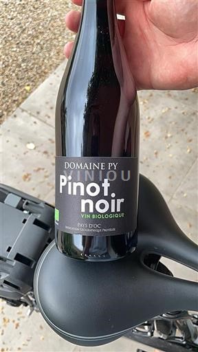 Languedoc a Roussillon Pays d'Oc Domaine Py Pinot Noir 2024