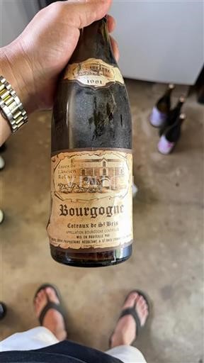 Vin Rouge sec Coteaux de St-Bris Caves de l'Ancien Relais 1981 France Bourgogne