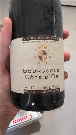 Borgogna Borgogna Côte d'Or R. Dubois & Fils Senza annata