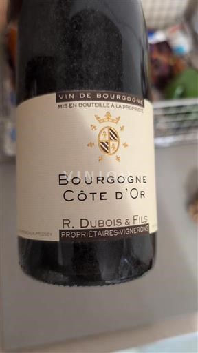 Borgogna Borgogna Côte d'Or R. Dubois & Fils Côte d'Or Senza annata