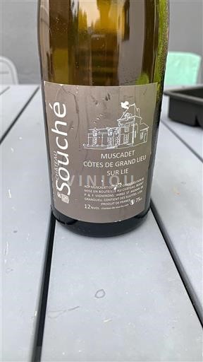 Valle della Loira Muscadet-Côtes-de-Grand-Lieu Château Souché Senza annata