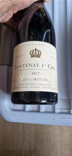 Bourgondië Niet gespecificeerd Premier Cru Les Frères Muzard Les Cabottes 2017