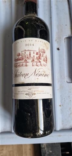 Bordéus Encostas de Bordéus Château Nénine 2014