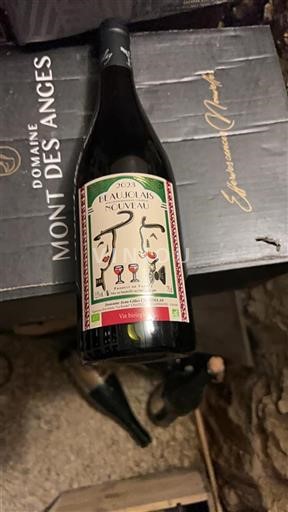 Beaujolais Beaujolais Nouveau Domaine Jean-Gilles Chasselay 2023