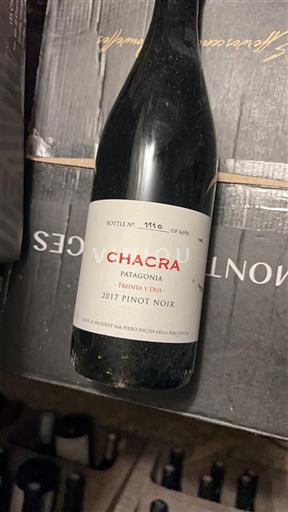 Patagonien Nicht spezifiziert Chacra Treinta y Dos 2017