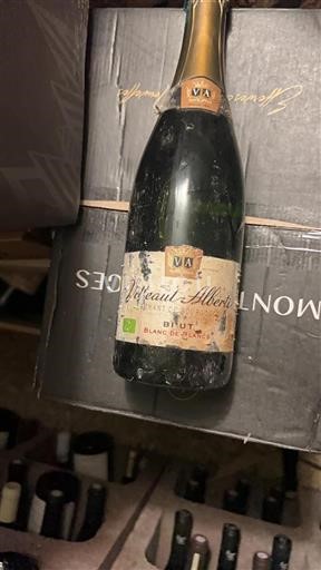 Bourgogne Crémant de Bourgogne Vitteaut-Alberti Ikke årgangsbestemt