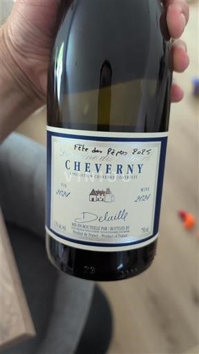 Valle del Loira Cheverny Domaine Salvard 2024