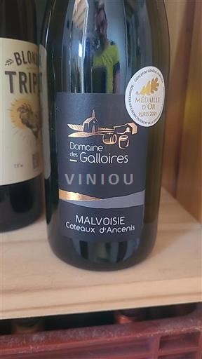 Loire Valley Coteaux d'Ancenis Domaine Des Galloires Malvoisie 2024