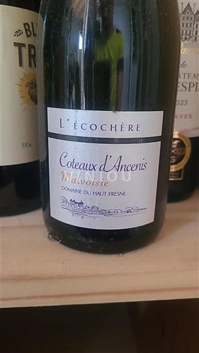 Loiredalen Coteaux-d'ancenis Domaine Haut Fresne L'écochère 2023