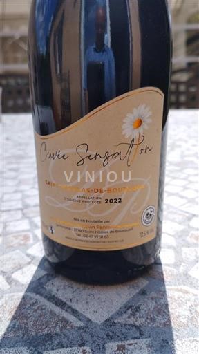 Loiren laakso Saint-Nicolas-De-Bourgueil Domaine Christian Pantaléon Sensation 2022