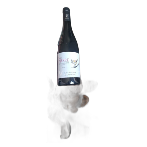 Vallée du Rhône Côtes-du-rhône Château Saint-Pierre Escarvaillac Saint Pierre 2022