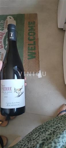 Vale do Ródano Côtes-do-Ródano Château Saint-Pierre Escarvaillac Saint Pierre 2022