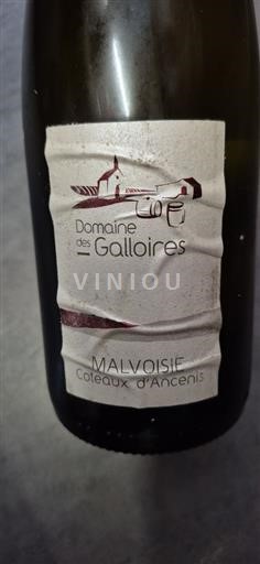 Loire Valley Coteaux d'Ancenis Domaine Des Galloires 2022