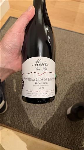 Bourgogne Santenay Premier Cru Mestre Père et Fils Clos de Tavannes 2022