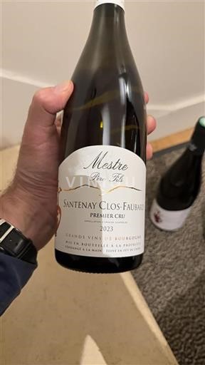 Bourgogne Santenay Premier Cru Mestre Père et Fils Clos-Faubard 2023