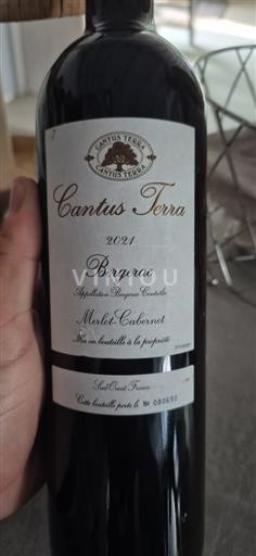 Jugozahod Bergerac Cantus Terra Merlot-Cabernet 2021