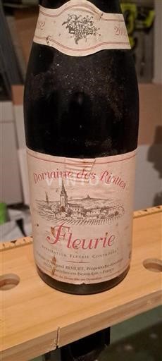 Beaujolais Fleurie Domaine Des Riottes 2002