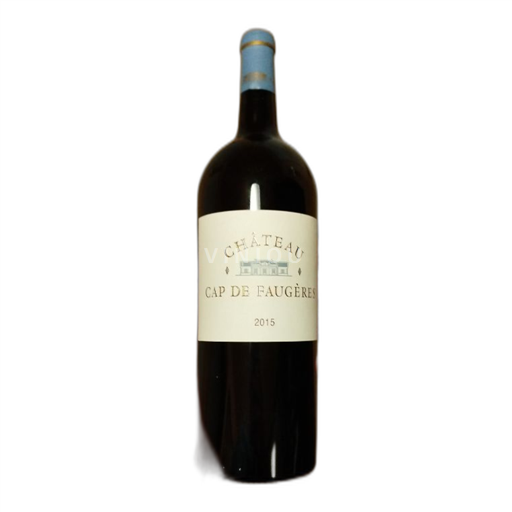 Bordeaux Castillon-côtes-de-bordeaux Château Cap de Faugères 2015