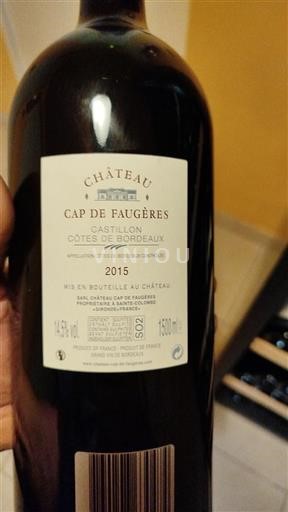 Bordeaux Castillon-côtes-de-bordeaux Château Cap de Faugères 2015