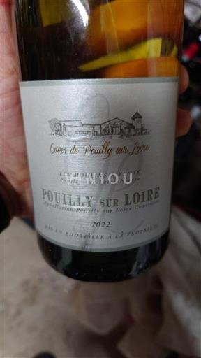 Valle della Loira Pouilly-sur-Loire Caves de Pouilly sur Loire 2022