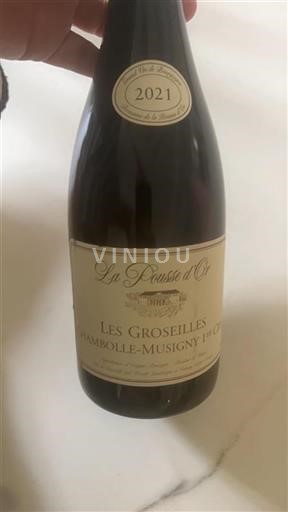 Borgogna Chambolle-Musigny Premier Cru La Pousse Or Les Groseilles 2021