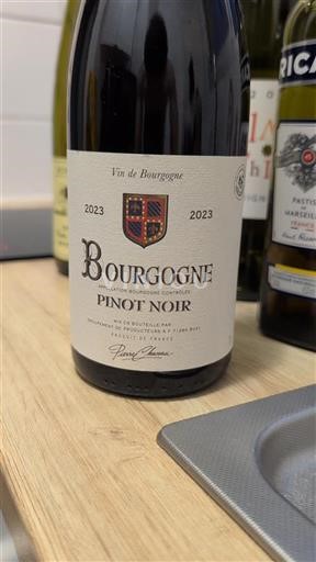 Burgundi Bourgogne Pierre Chavin 2023
