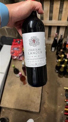 Bordeaux Castillon-côtes-de-bordeaux Château Lamour 2021