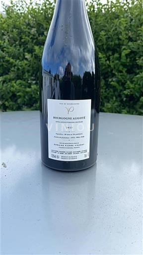 Borgogna Borgogna Aligoté Domaine Pierre Vincent 2023
