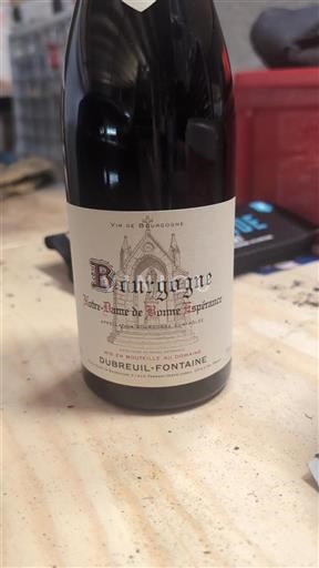 Bourgogne Dubreuil-Fontaine Notre-Dame de Bonne Espérance Non Millésimé