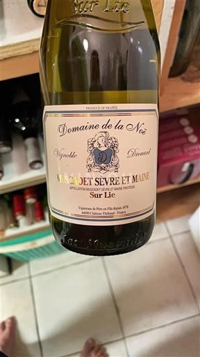 Valle della Loira Muscadet Sèvre et Maine Domaine La Noë Sur Lie 2023