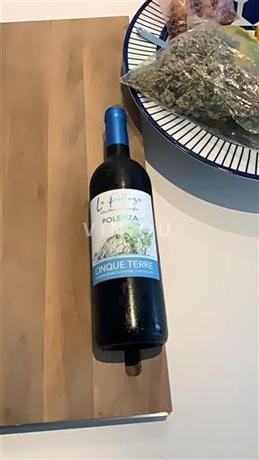 Ligurien Cinque Terre La Polenza Polemeza Icke årgångsbetecknad