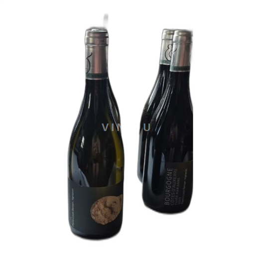 Bourgogne Bourgogne Aligoté Pierre Louis Bersan Marianne 2022