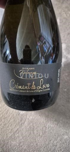 Valle della Loira Crémant-de-Loire Domaine Delanoue Senza annata
