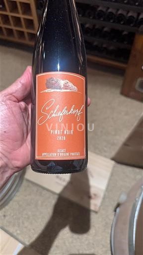 Alsace Schieferkopf 2020