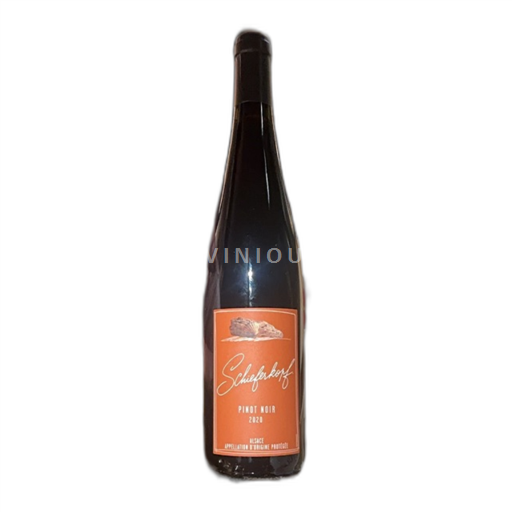 Alsacia Schieferkopf 2020