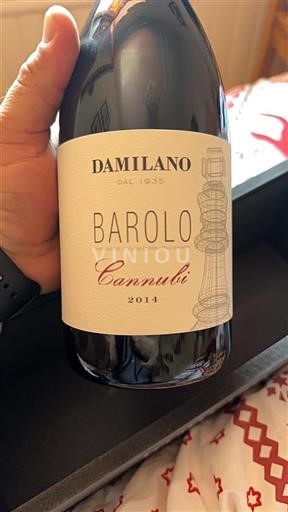 Piemonte Barolosta Damilano Cannubi 2014